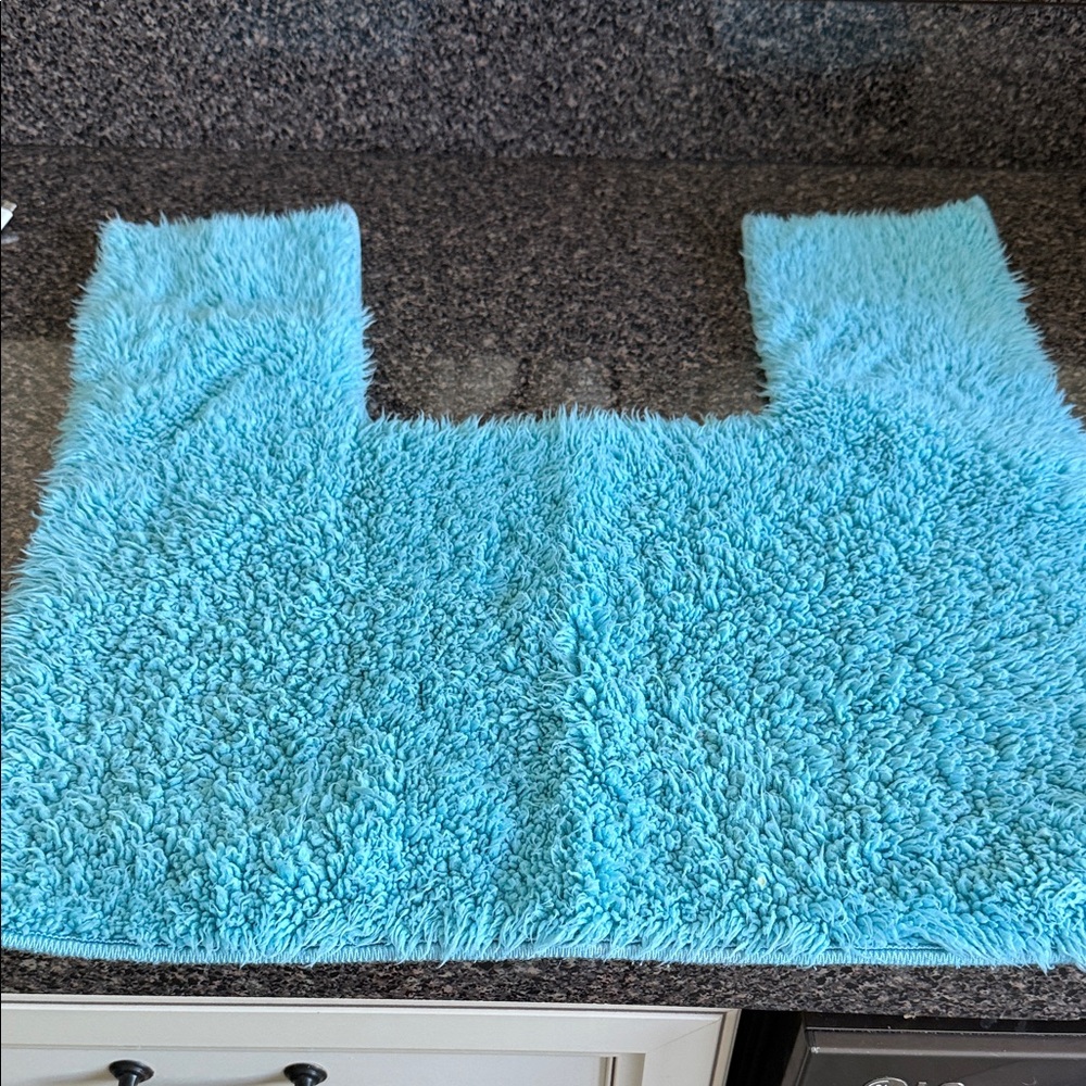 Fluffy aqua toliet Mat